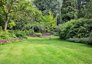 Optimiser l'expérience du jardin à Le May-sur-Evre
